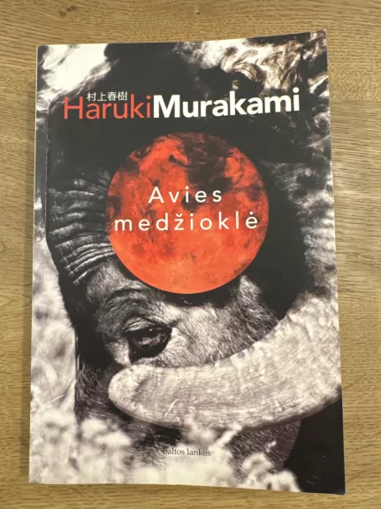 Avies medžioklė: [romanas]