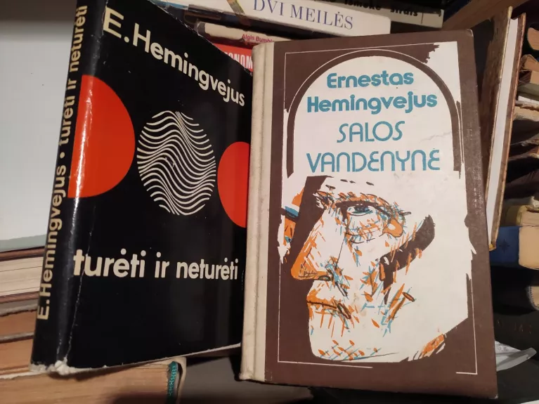 Turėti ir neturėti