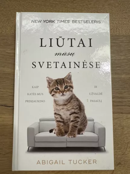 Liūtai mūsų svetainėse