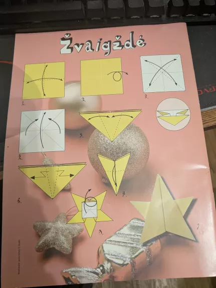 Bitutė 2021 m. Nr. lapkritis - gruodis