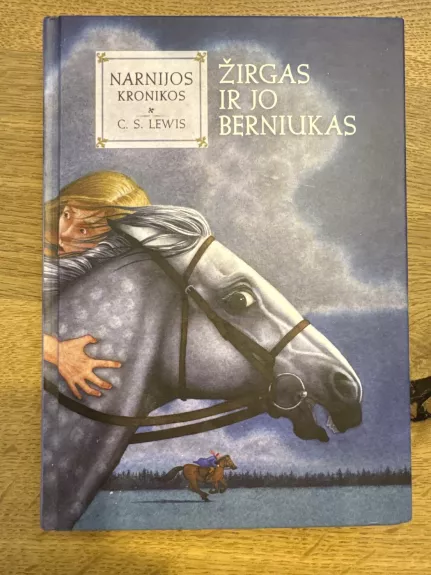 Žirgas ir jo berniukas