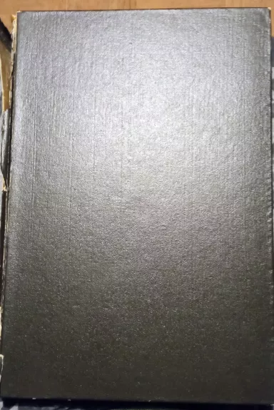 Lietuvos Architektūros istorija (2 tomas)