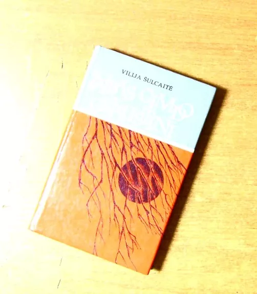 Žaibas gimdo griaustinį