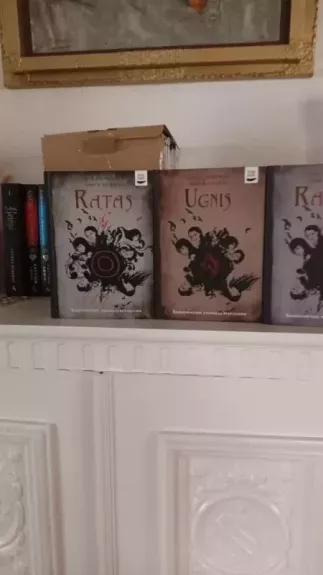 Ugnis. Skandinavijos paauglių bestseleris! Mats Strandberg , Sara B. Elfgren