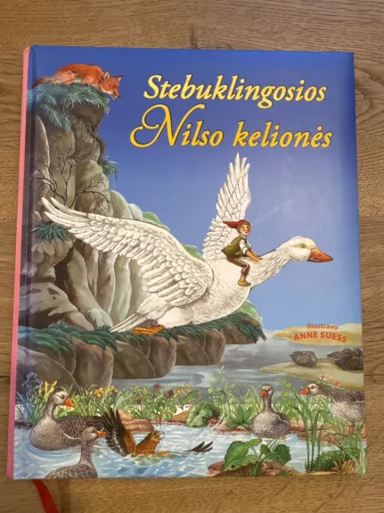Stebuklingos Nilso kelionės