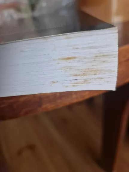 Tėvas Stanislovas. Apie meilę ir tarnystę