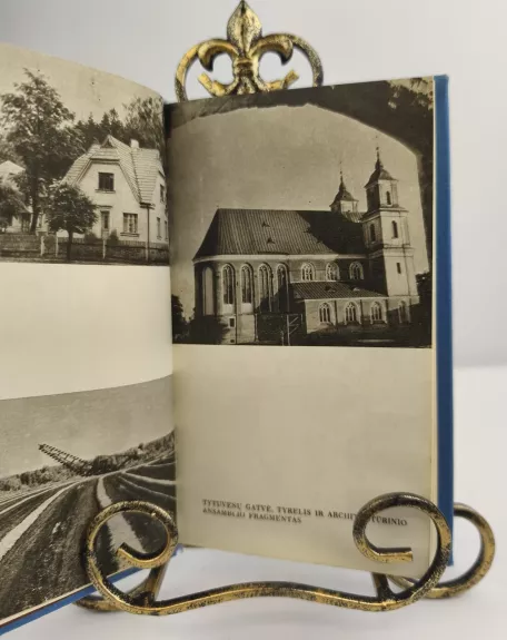 Kalvotoji Žemaitija