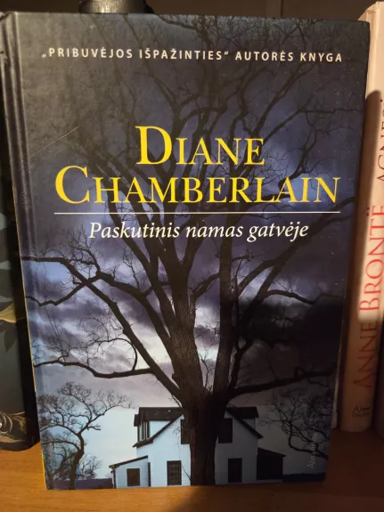 Paskutinis namas gatvėje