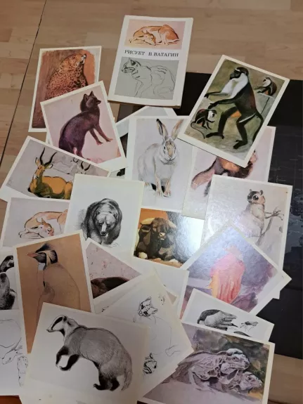 V.Vatagino piešiniai (atvirukų komplektas)