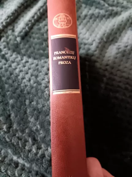 Prancūzų romantikų proza