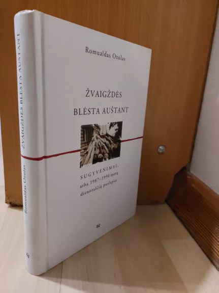 Žvaigždės blėsta auštant sugyvenimai arba 1987-1990 metų dienoraščių puslapiai