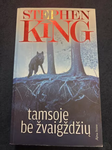 Tamsoje be žvaigždžių