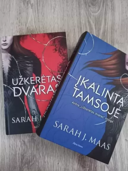 Užkerėtas dvaras. Įkalinta tamsoje.