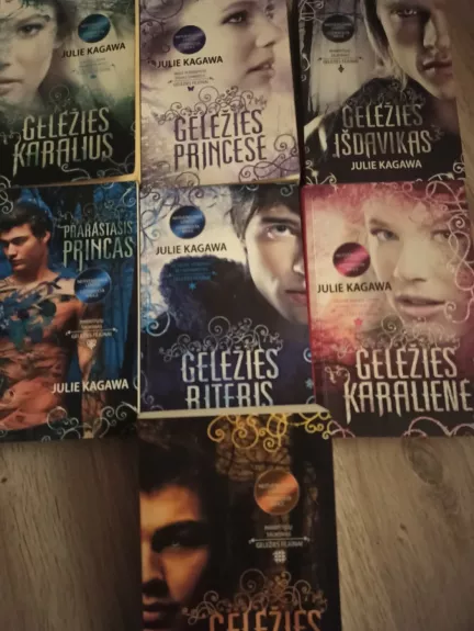 Komplektas "Geležies fėjūnai"