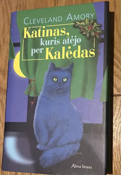 Katinas, kuris atėjo per Kalėdas