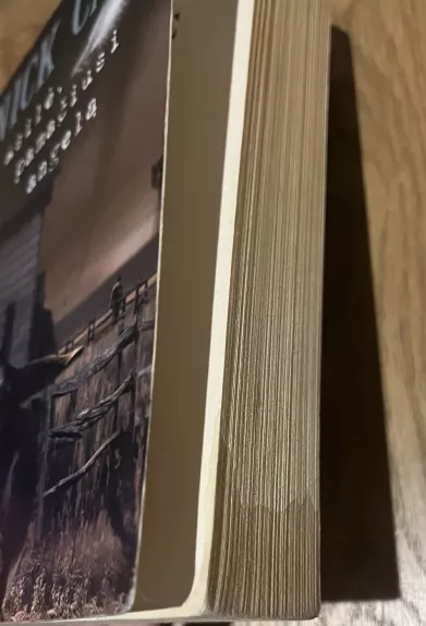 Asilė, pamačiusi angelą