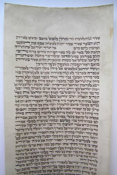 Antikvarinis Toros rankraščio fragmentas