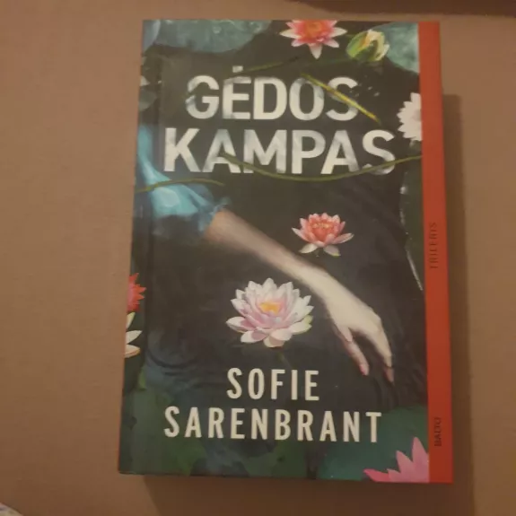 Gėdos kampas