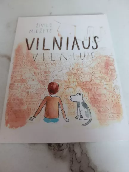 Vilniaus Vilnius