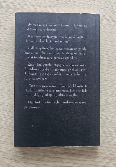 Šviesos kario vadovas