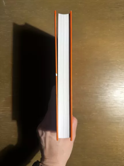 Įtakos galia. Kaip pasiekti savo tikslus