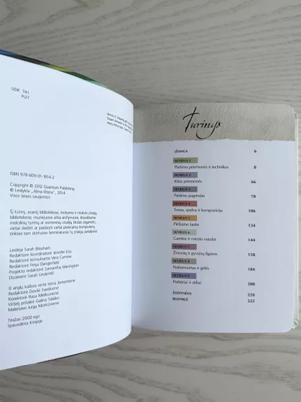 Piešimas ir eskizavimas. Žinovo atsakymai į klausimus, kurie kyla kiekvienam menininkui