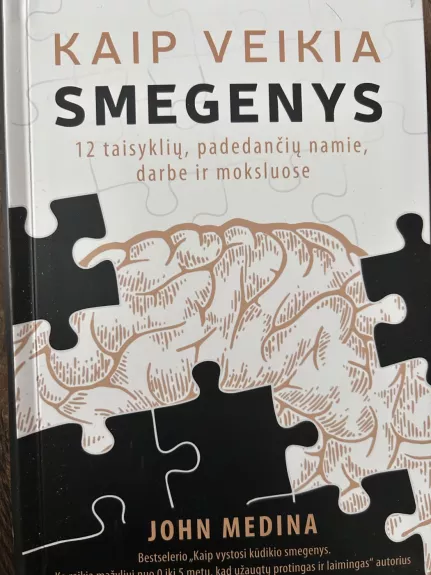 Kaip veikia smegenys. 12 taisyklių, padedančių namie, darbe ir moksluose