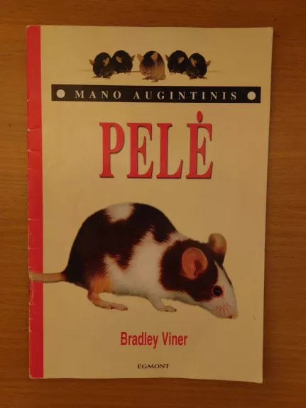 Mano augintinis: Pelė