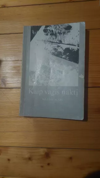 Kaip vagis naktį. Taip ir neįvykusio atėjimo byla