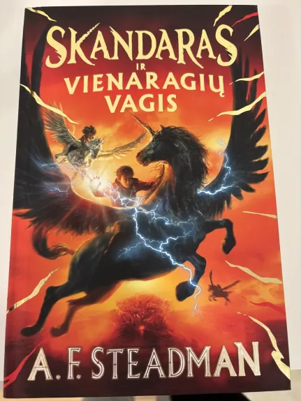 Skandaras ir vienaragių vagis