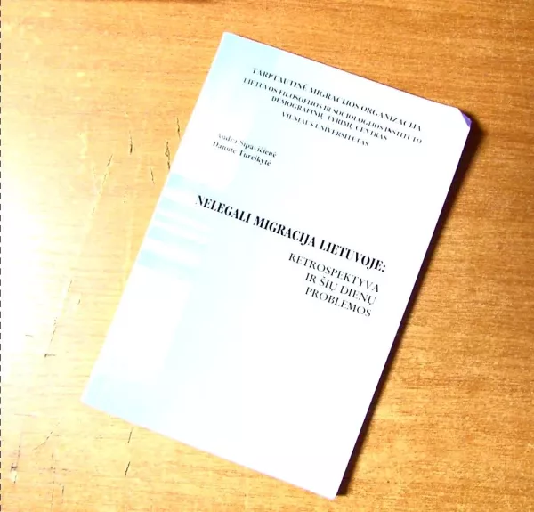 Nelegali migracija Lietuvoje