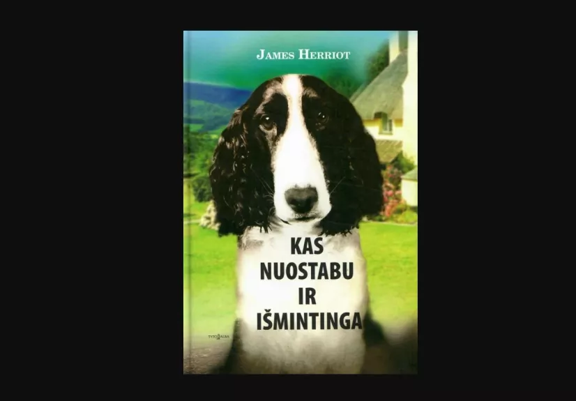 Kas nuostabu ir išmintinga