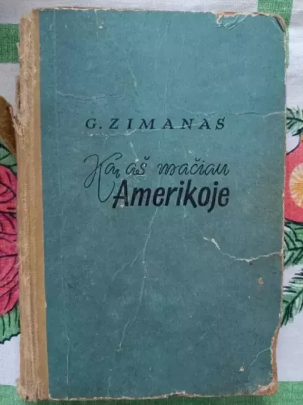 Ką aš mačiau Amerikoje