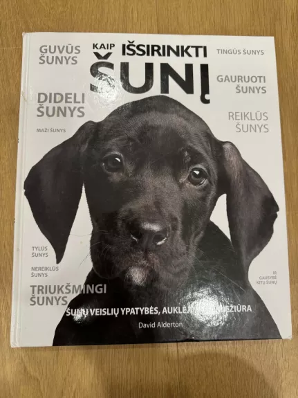 Kaip išsirinkti šunį