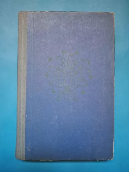 Atsisveikinimo naktis