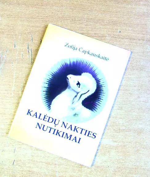 Kalėdų nakties nutikimai