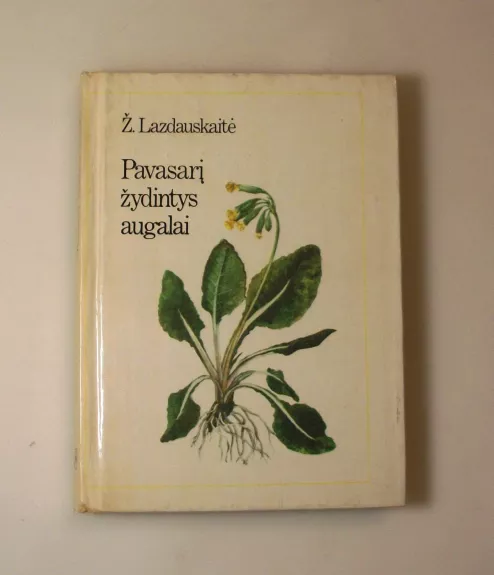 Pavasarį žydintys augalai