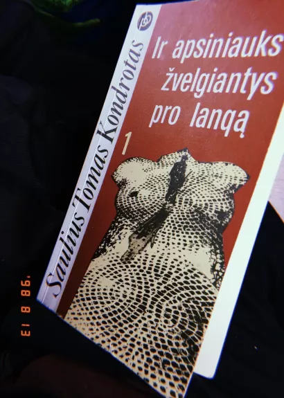 Ir apsiniauks žvelgiantys pro langą (2 knygos)
