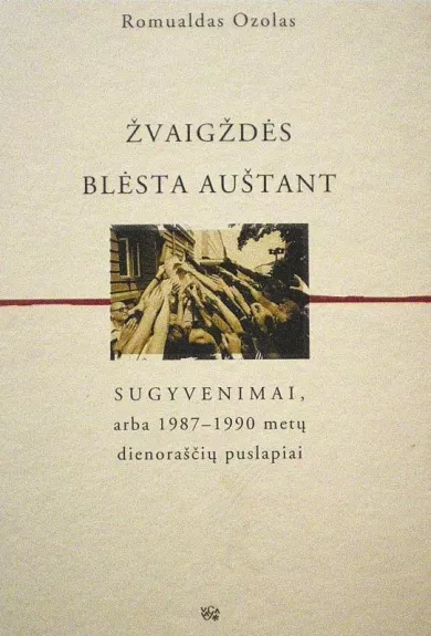 Žvaigždės blėsta auštant sugyvenimai arba 1987-1990 metų dienoraščių puslapiai