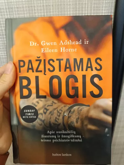 Pažįstamas blogis