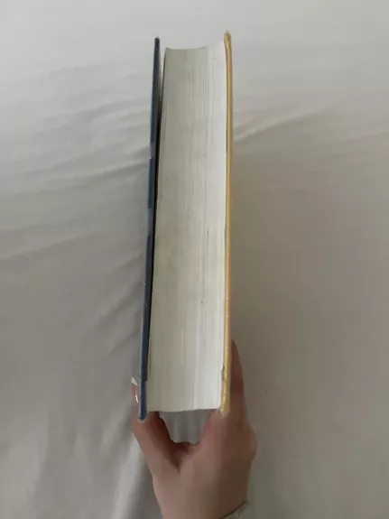 anglų-lietuvių kalbų žodynas