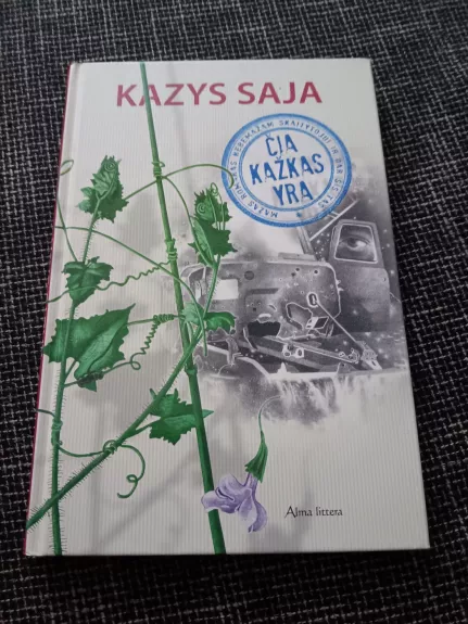 Čia kažkas yra