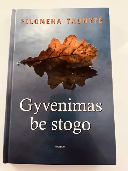 Gyvenimas be stogo