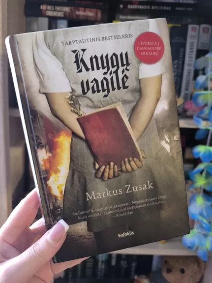 Knygų vagilė