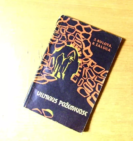 Vilniaus požemiuose