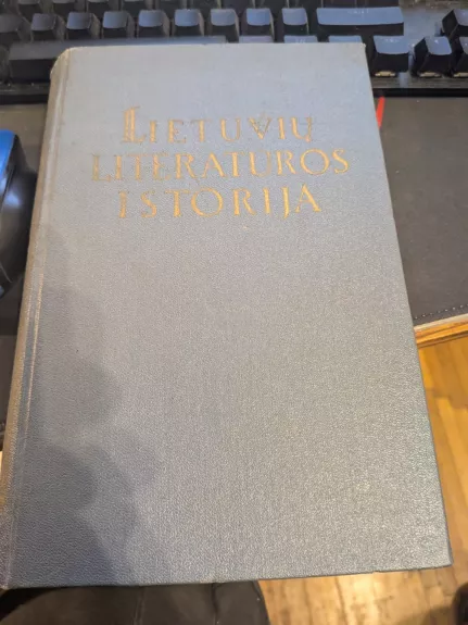 Lietuvių literatūros istorija (I tomas)