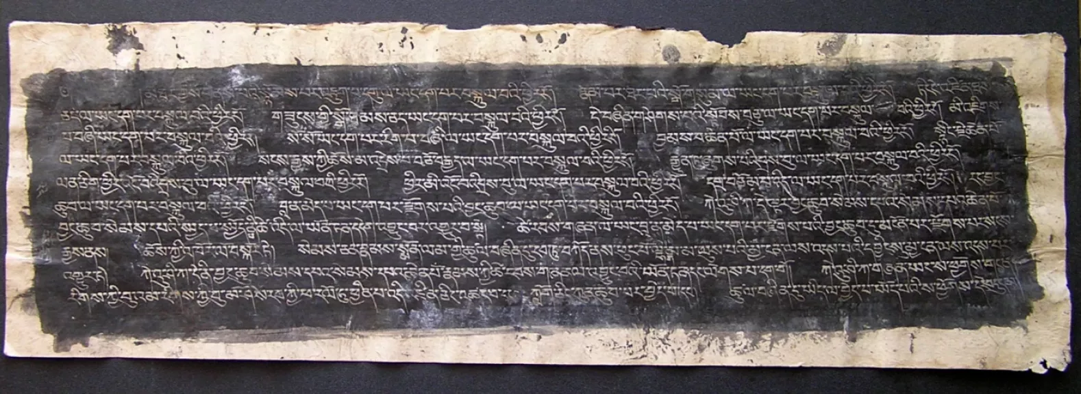 Antikvarinis didelis budistinės sutros rankraščio lapas, sidabro rašalas / XVI a. Tibetas