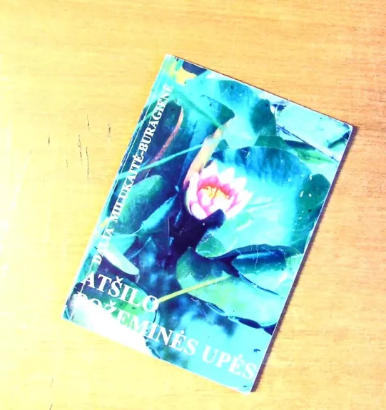 Atšilo požeminės upės