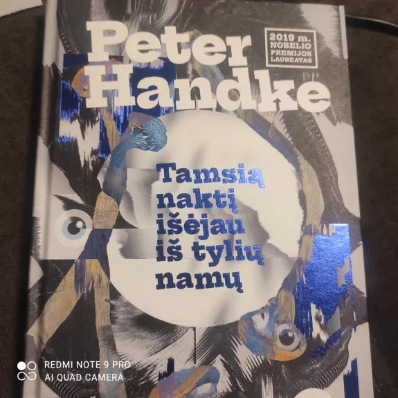 Tamsią naktį išėjau iš tylių namų