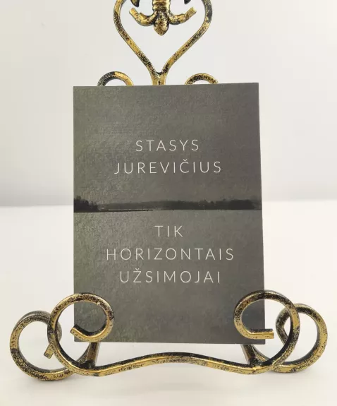 Tik horizontais užsimojai